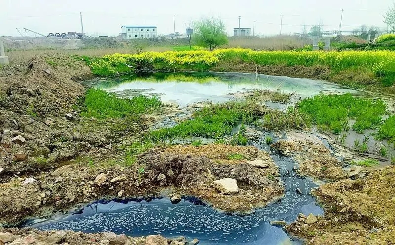 黑龍江省2024年農村生活污水、黑臭水體治理工作方案出爐！